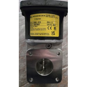 Jenbacher Throttle Valve