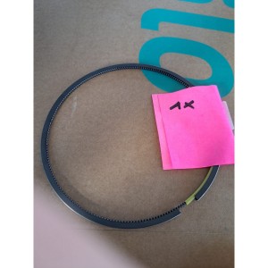 Waukesha Piston ring
