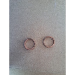 Waukesha Sealing ring