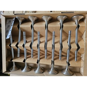 Jenbacher Exaust Valve  BR6