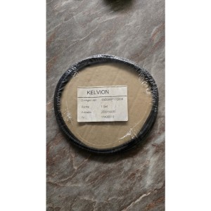 Jenbacher Gasket set