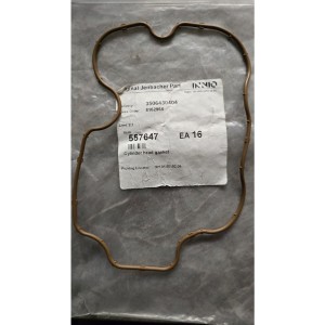 Jenbacher Cylinder head gasked