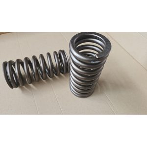 Bergen Valves Spring Air Exhaust