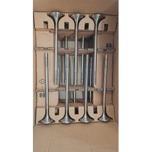 Bergen Valve exhaust