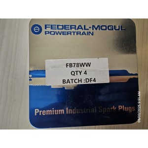 Federal Mogul Federal Mogul