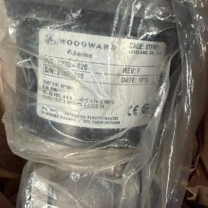 Jenbacher Throttle Valve