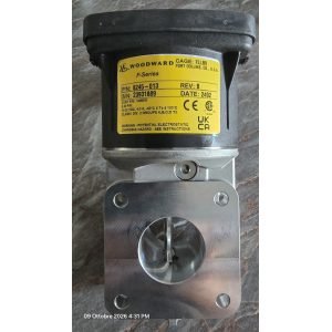 Woodward Throttle valve