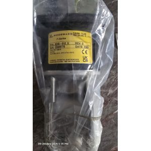 Woodward Throttle valve